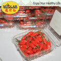 Comidas Especiais Goji Berry Wolfberry Herbs